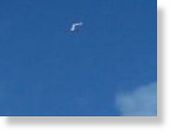 Click to enlarge Shrewsbury ufo III