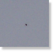 New Hampshire ufo