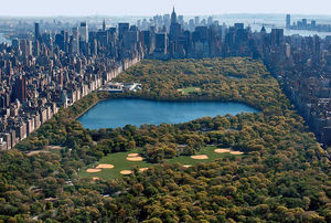 NYC Central Park