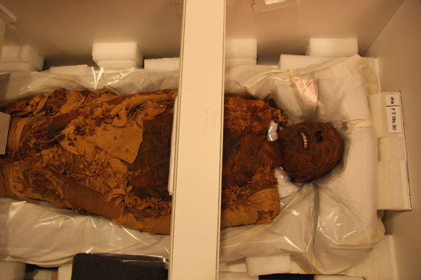 Brooklyn Mummies 1