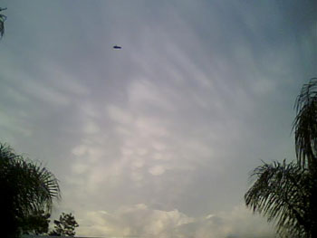 Florida ufo