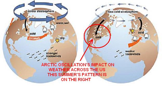 Click to enlarge Arctic Oscillation