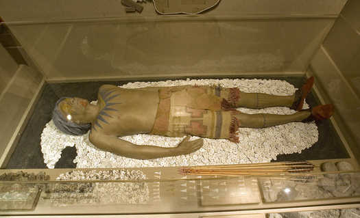 Cahokia Mounds 1