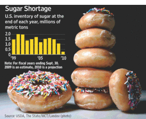 Sugar Shortage Donuts