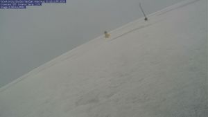 NOrth Pole Camera