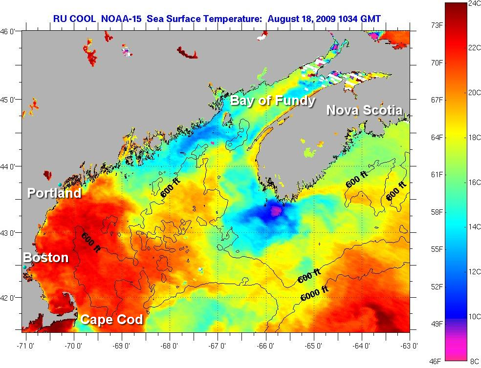 NOAA SST August 18 2009