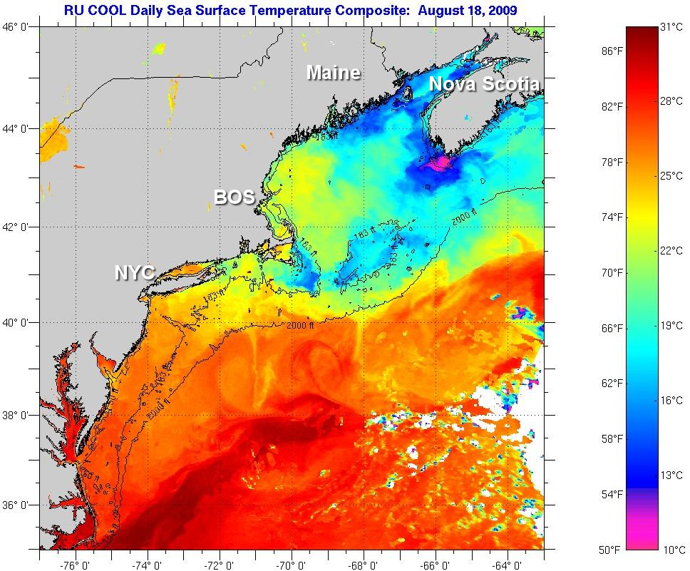 Northeast USA SST