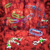 Click to enlarge Gene