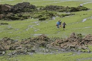 Click to enlarge Beach in Brittany