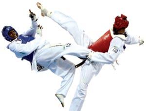 Click to enlarge Martial art