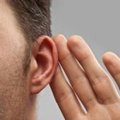 Ear