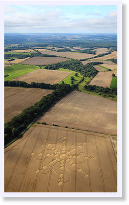 Crop Circle August 16th