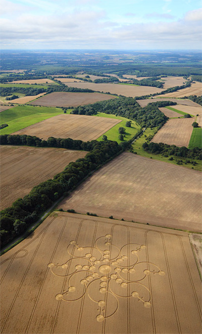 Crop Circle August 16th