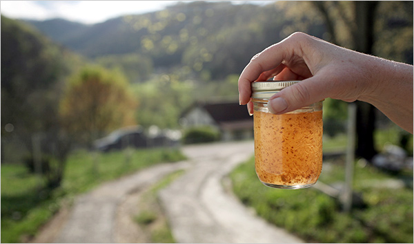 polluted water