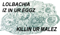 Click to enlarge butterfly parasite