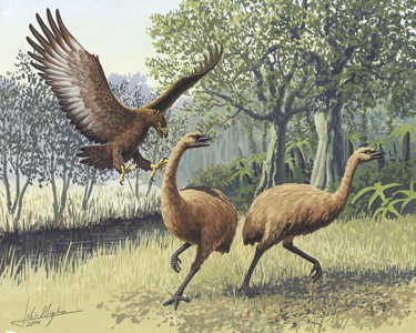 Click to enlarge Image