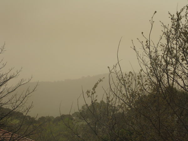 Australia sand storm