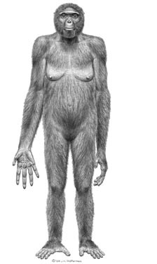 Click to enlarge Image