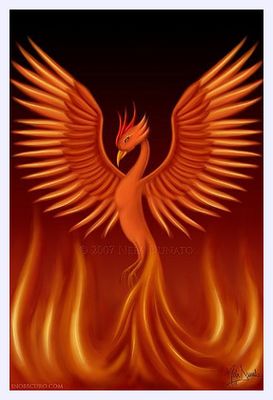 Phoenix