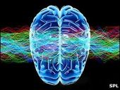 Click to enlarge Brain Waves