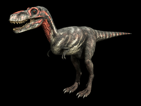 T Rex