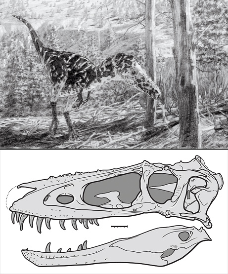 8-Horned T. Rex Cousin