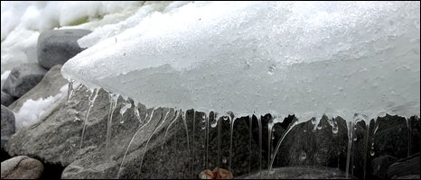 BBC_Ice