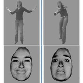 GUT REACTIONS