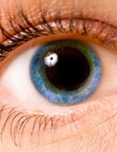 Eye