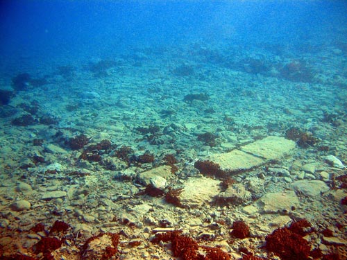 Click to enlarge Image