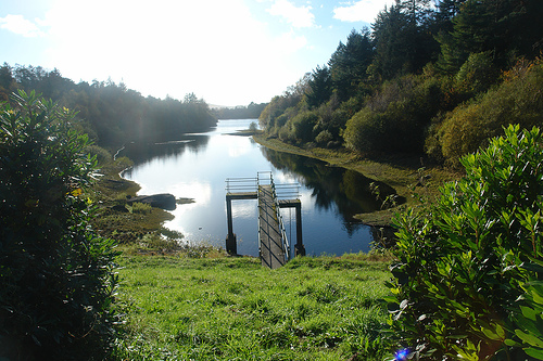 Tottiford