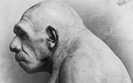 Neanderthal