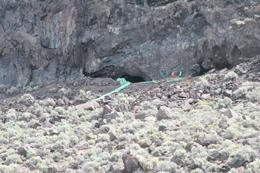 Oregon cave