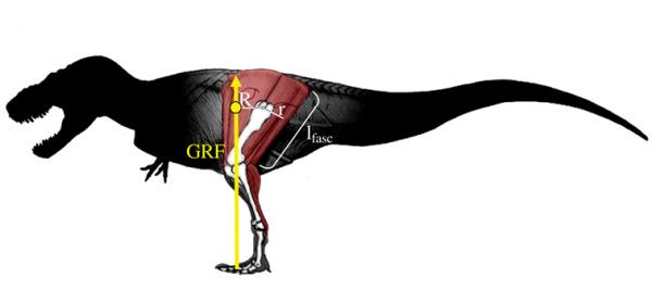 dinosaur