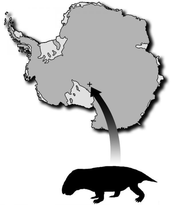 Click to enlarge Image