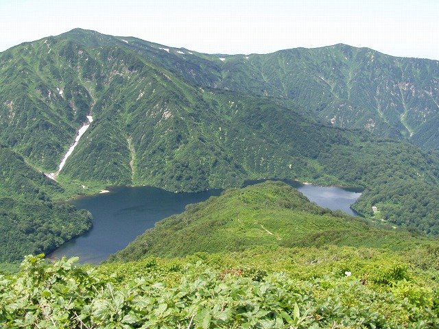 Otori-ike