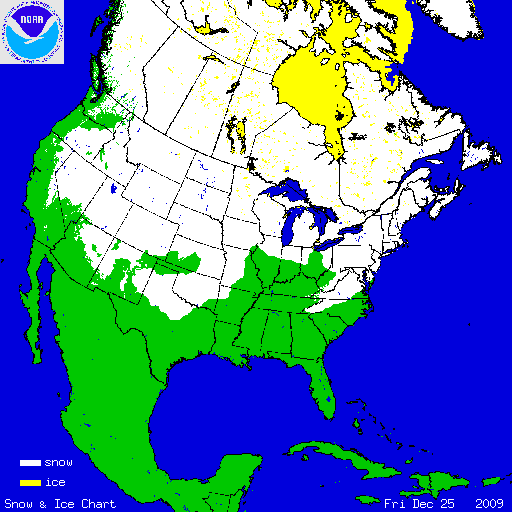 half UScovered insnow