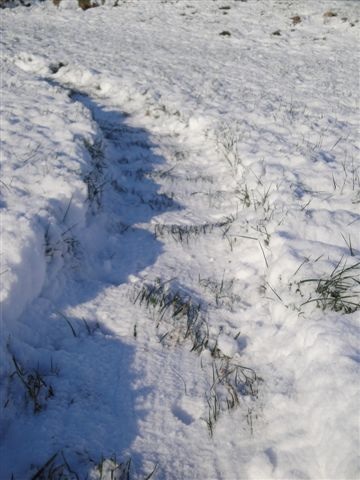 Click to enlarge Hoeven snow formation #1