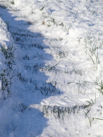 Click to enlarge Hoeven snow formation #1