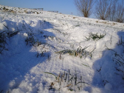 Click to enlarge Hoeven snow formation #1