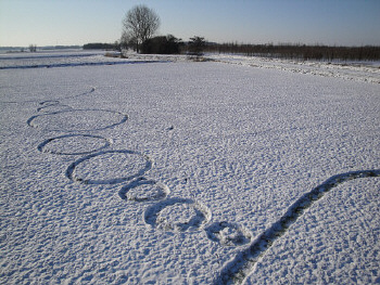 Click to enlarge Hoeven snow formation #1