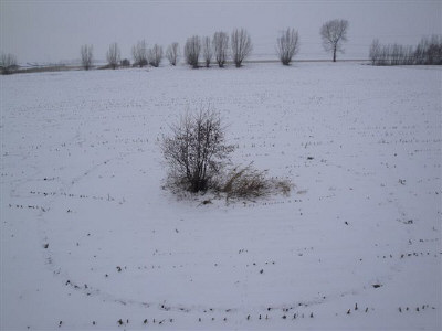 Click to enlarge Hoeven snow formation #2