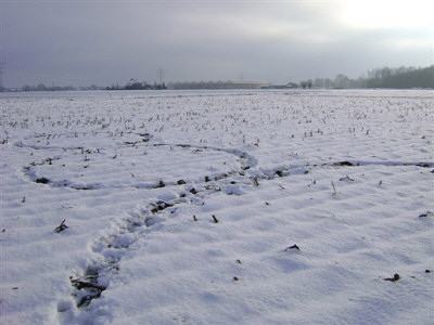 Click to enlarge Hoeven snow formation #2
