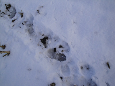 Click to enlarge Hoeven snow formation #2