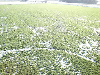 Click to enlarge Hoeven snow formation #2