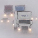 vehicles in white out
