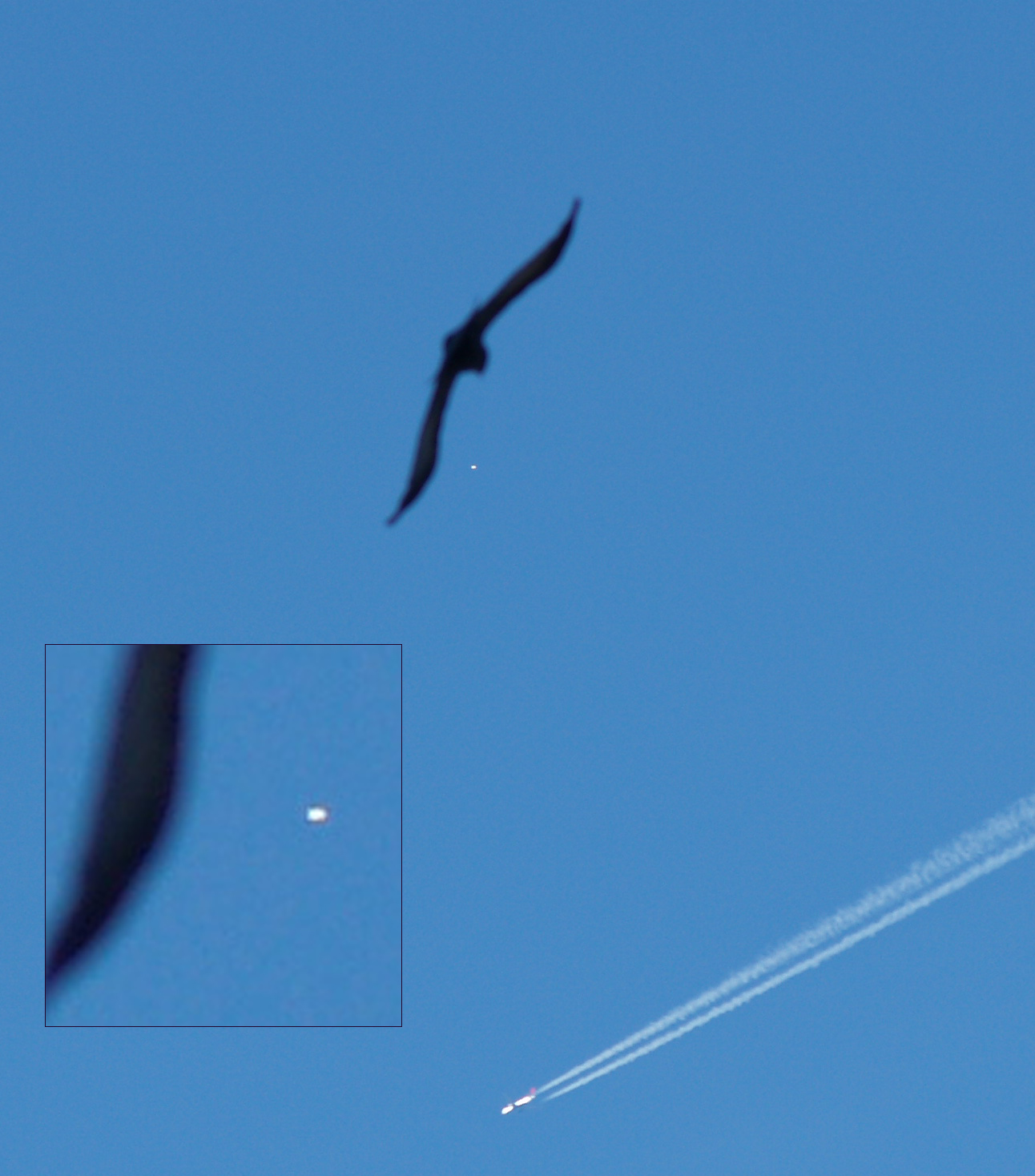 Click to enlarge England ufo