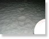 Click to enlarge Sasquatch track