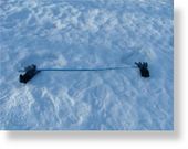 Click to enlarge Sasquatch track
