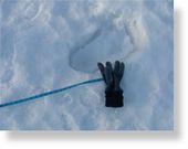 Click to enlarge Sasquatch track